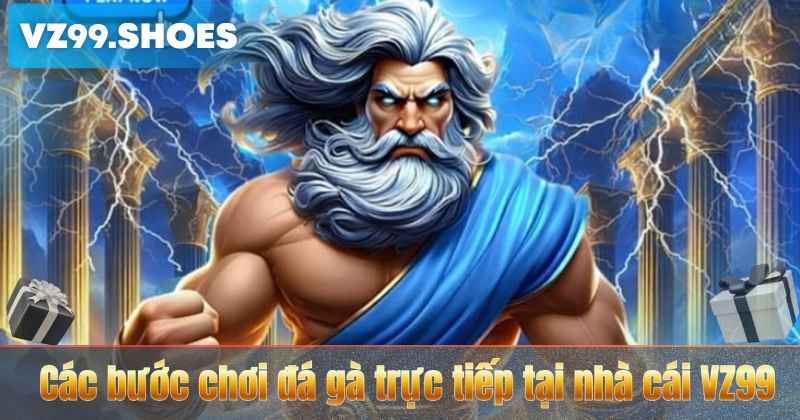 Gà Đá Đòn Độc – Bí Quyết Tấn Công Hiểm Hóc Của Những Chiến Kê Mạnh 7 Các bước chơi đá gà trực tiếp tại nhà cái VZ99