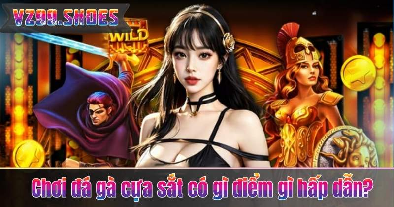 Chơi đá gà cựa sắt có gì điểm gì hấp dẫn?